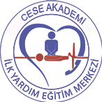 CESE AKADEMİ