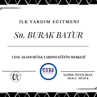 CESE AKADEMİ