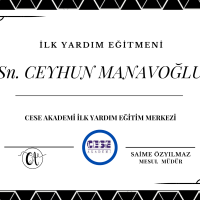 CESE AKADEMİ