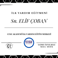 CESE AKADEMİ