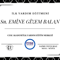 CESE AKADEMİ