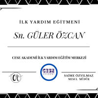 CESE AKADEMİ