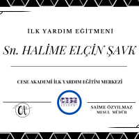 CESE AKADEMİ