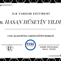 CESE AKADEMİ