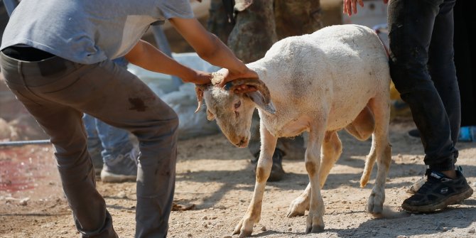 KURBAN KESİM ELEMANI EĞİTİMİ