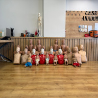 CESE AKADEMİ
